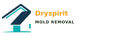 Dryspirit Mold Removal